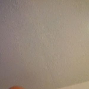 Meet your Posher, Leo